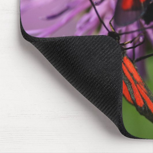 Zygaena puralis mousepad (Ecke)