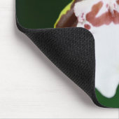 Zygopetalum Orchidee Mousepad (Ecke)