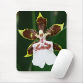 Zygopetalum Orchidee Mousepad (Mit Mouse)
