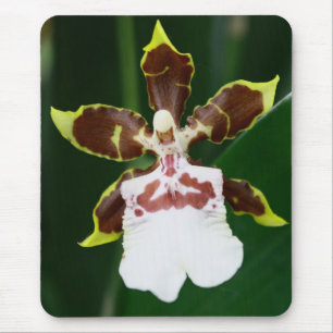 Zygopetalum Orchidee Mousepad