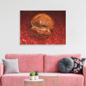 Zygote Entwicklung: 24-36 Stunden Leinwanddruck (Insitu (Wohnzimmer))