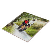 ZYKLING FLIESE (Seite)