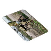 ZYKLING MAGNET (Rechte Seite)