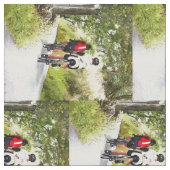 ZYKLING STOFF (Nahaufnahme)