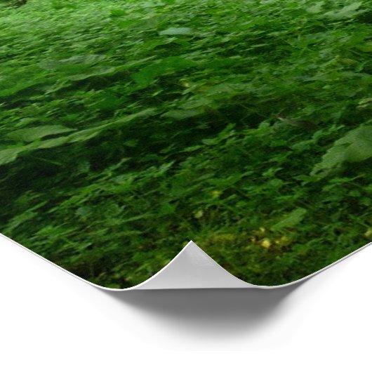 Zyklusweg Poster (Ecke)