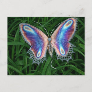Zylinder Postkarte
