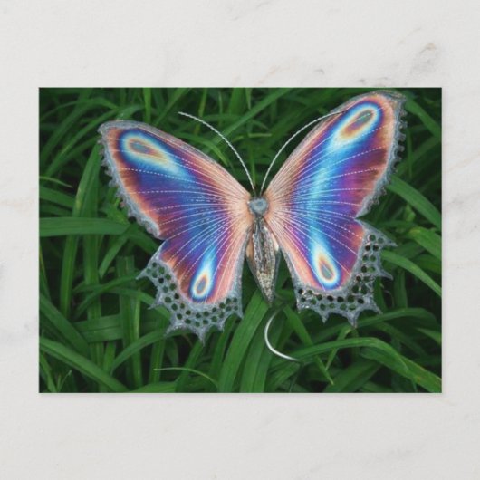 Zylinder Postkarte (Vorderseite)