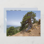 Zypern Artemis Naturlehrpfad Troodos Landschaft Postkarte (Vorne/Hinten)