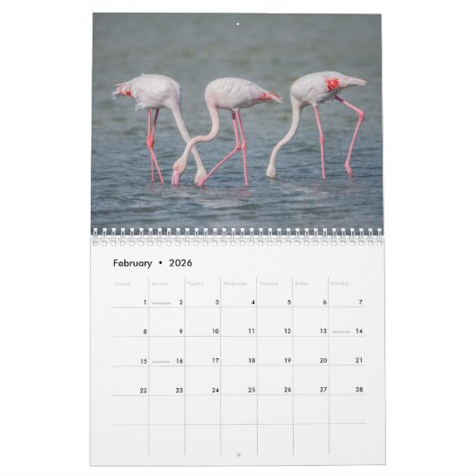 Zypern-Kalender Kalender (Feb 2026)