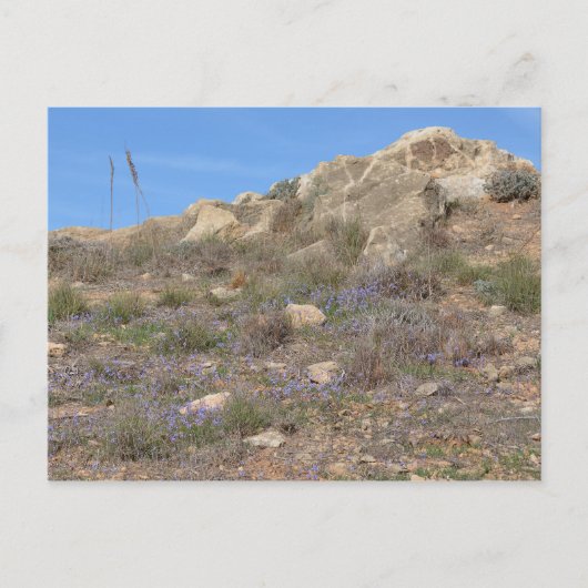 Zypern Landscape Postcard Postkarte (Vorderseite)