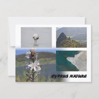 Zypern Natur Postkarte