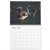 Zypern-Naturkalender Kalender (Feb 2027)