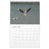 Zypern-Naturkalender Kalender (Feb 2027)