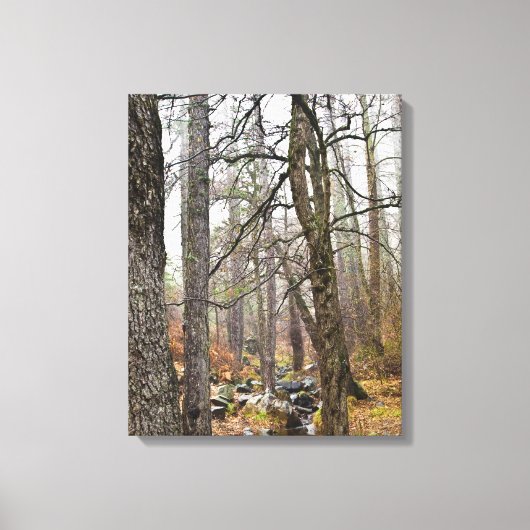 Zypern Naturlandschaft Troodos Waldbraun Bäume Leinwanddruck (Vorderseite)