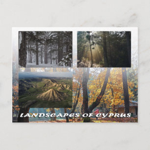 Zypern Postcard Natursandschaften Wald Troodos Postkarte