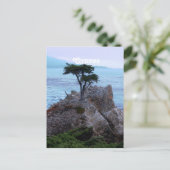 Zypern Postkarte (Stehend Vorderseite)