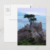 Zypern Postkarte (Vorne/Hinten)