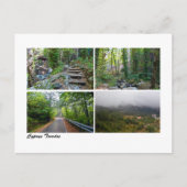 Zypern Troodos Postkarte (Vorderseite)