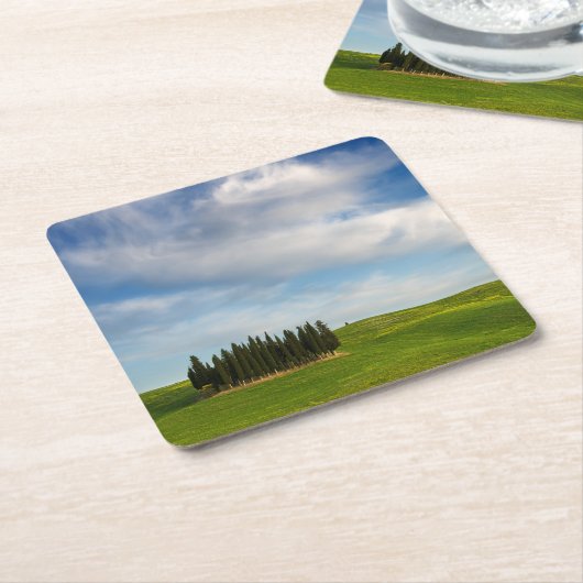 Zypresse-Bäume in Toskana-Untersetzer Rechteckiger Pappuntersetzer (angewinkelt)