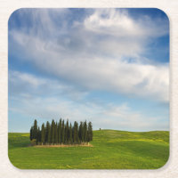 Zypresse-Bäume in Toskana-Untersetzer