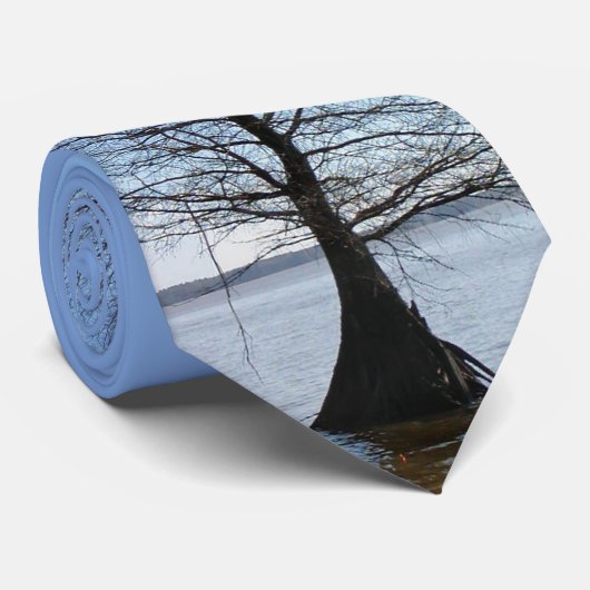 Zypresse Krawatte (Gerollt)