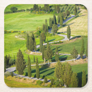 Zypresse zeichnete Wicklungsstraße in Rechteckiger Pappuntersetzer