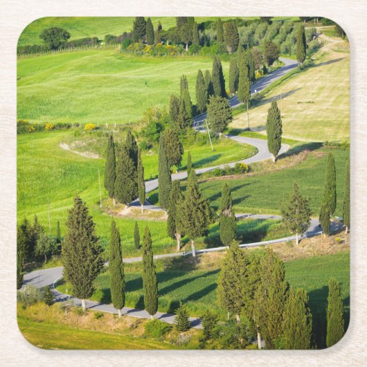 Zypresse zeichnete Wicklungsstraße in Rechteckiger Pappuntersetzer (Vorderseite)