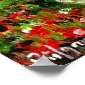 ZYPRESSEBÄUME UND MEDITERRANISCHER PINE IN DER Tos Poster (Ecke)