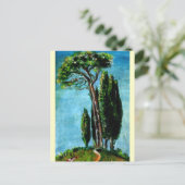 ZYPRESSEBÄUME UND MEDITERRANISCHER PINE IN DER Tos Postkarte (Stehend Vorderseite)