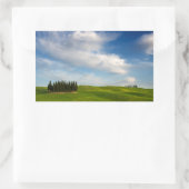 Zypressen-Bäume in der Toskana, rechteckig Rechteckiger Aufkleber (Tasche)