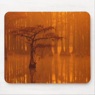 Zypressen   George Smith State Park Mousepad