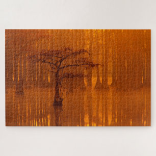 Zypressen George Smith State Park Puzzle