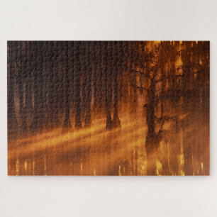 Zypressen   George Smith State Park Puzzle