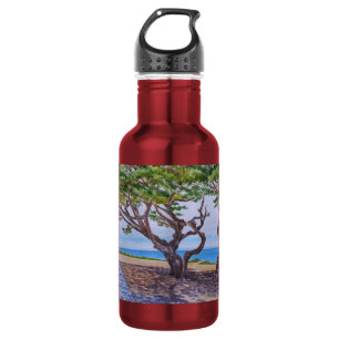 Zypressen in Pacific Grove Edelstahlflasche