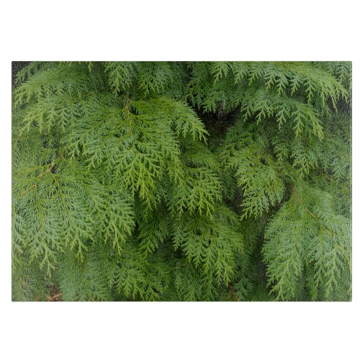 Zypressen Schneidebrett (Vorderseite)