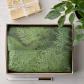 Zypressen Seidenpapier (Geschenk)