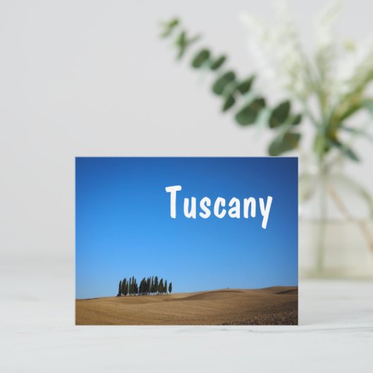 Zypressen und Hügel mit Postkarte des Toskanischen (Stehend Vorderseite)