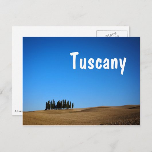 Zypressen und Hügel mit Postkarte des Toskanischen (Vorne/Hinten)