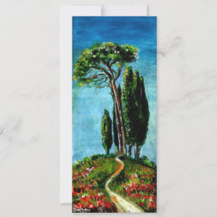 ZYpressen UND Mittelmeer-Kiefern in der Toskana Einladung