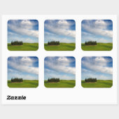 Zypressenbäume auf dem Aufkleber in der Toskana (Blatt)