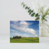 Zypressenbäume auf der Postkarte der Toskana (Stehend Vorderseite)