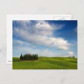 Zypressenbäume auf der Postkarte der Toskana (Vorne/Hinten)