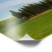 Zypressenbäume in der Toskana Foto drucken (Ecke)