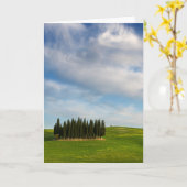 Zypressenbäume in der Toskana vertikale Grußkarte Karte (Gelbe Blume)