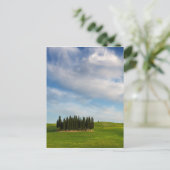 Zypressenbäume in der Toskana, vertikale Postkarte (Stehend Vorderseite)