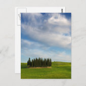 Zypressenbäume in der Toskana, vertikale Postkarte (Vorne/Hinten)