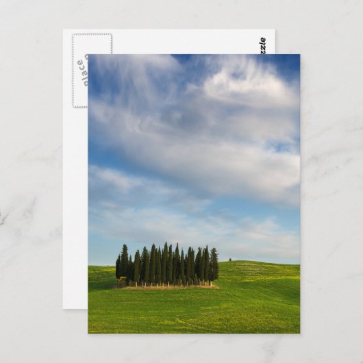 Zypressenbäume in der Toskana, vertikale Postkarte (Vorne/Hinten)