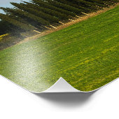 Zypressenbäume in der Toskana, vertikaler Foto (Ecke)