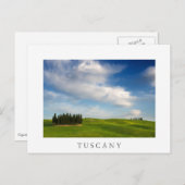 Zypressenbäume in der Toskana, weiße Postkarte (Vorne/Hinten)