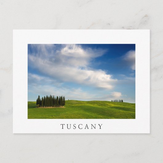 Zypressenbäume in der Toskana, weiße Postkarte (Vorderseite)